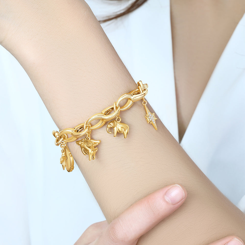https://www.dropbox.com/scl/fi/co75ujx366uqbb8dqd629/Bold-Cable-Link-Charm-Bracelet_7.jpg?rlkey=qpz4ic7jeh5odixmpc6lrexa9&st=t584qszi&dl=0