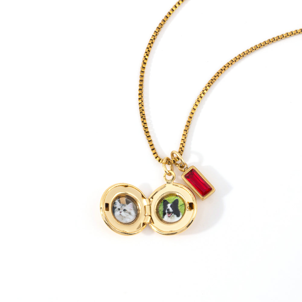 Family Birth Flower Locket Necklace with Birthstone - Gold / January Garnet