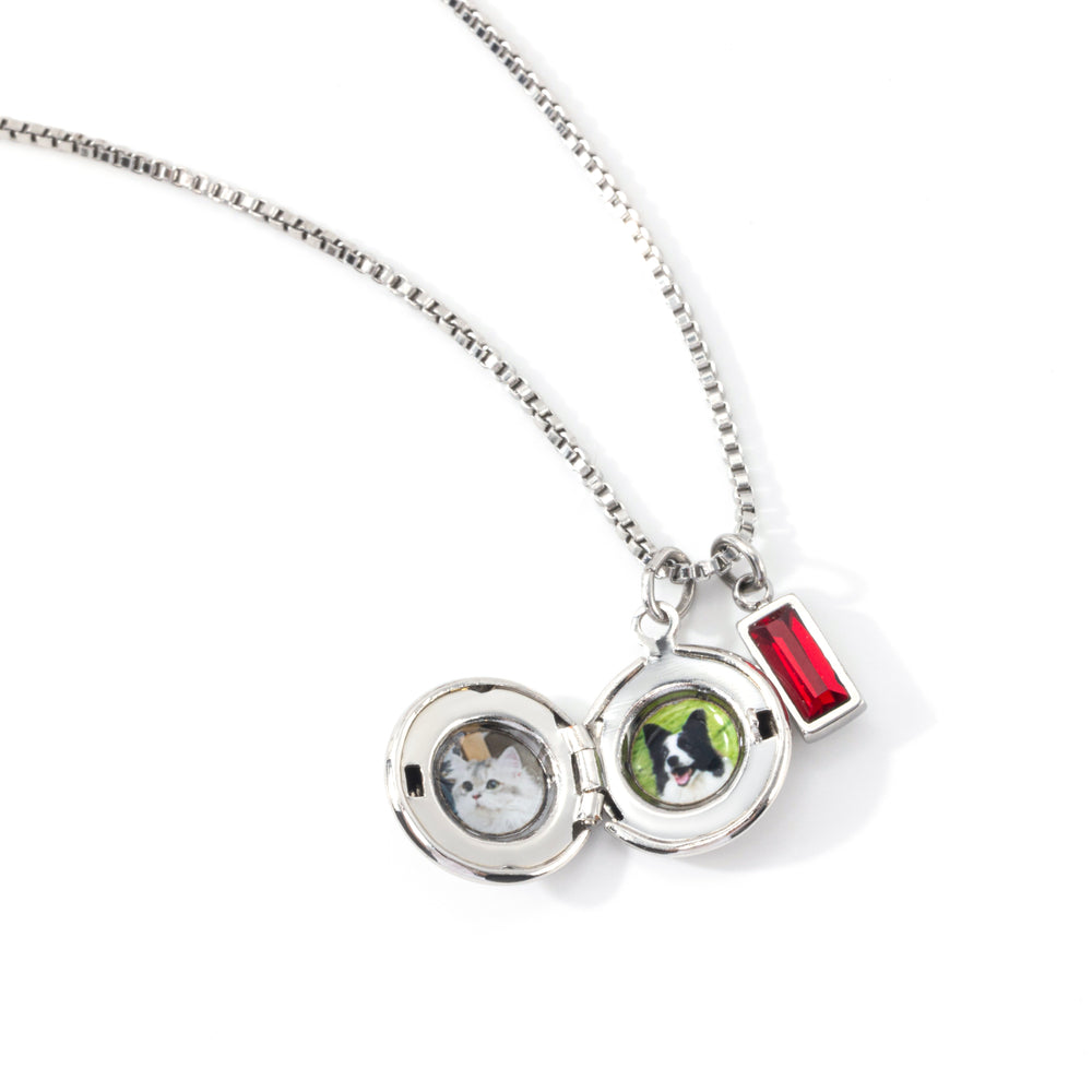 Family Birth Flower Locket Necklace with Birthstone - Silver / July Ruby
