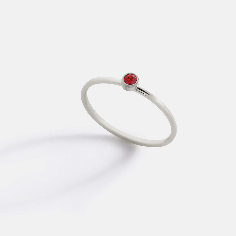 https://cdn.shopify.com/s/files/1/1342/2527/files/Minimalist_birthstone_stacking_band_1-january-silver.jpg?v=1731509100